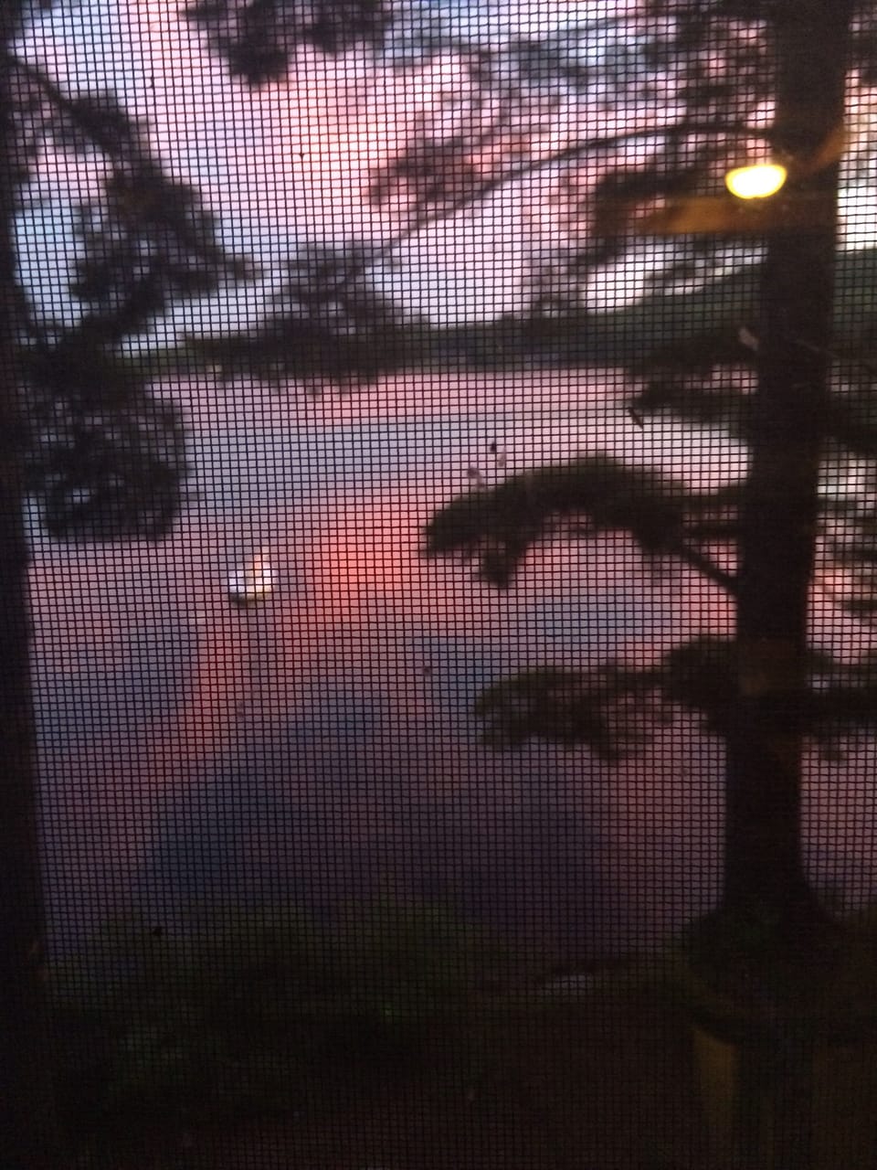 Sunset on lake through a screen 