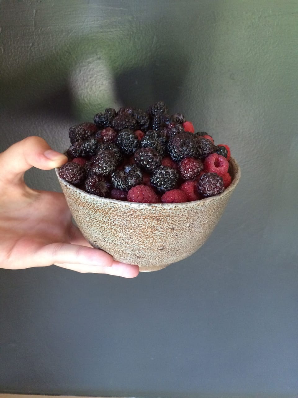Bracken & Bushy House bounty.