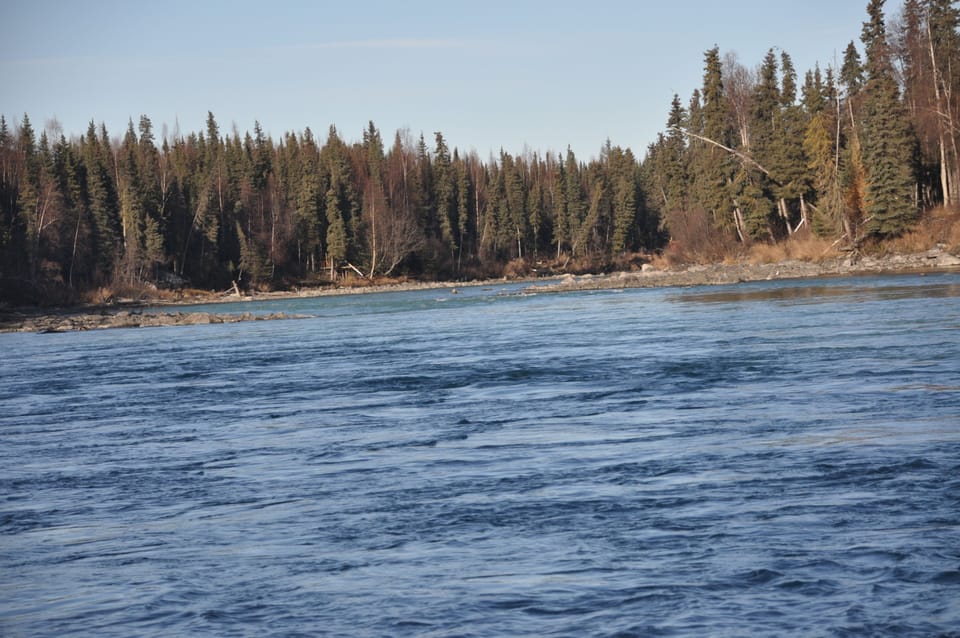 Kenai River downriver view from our shoreline