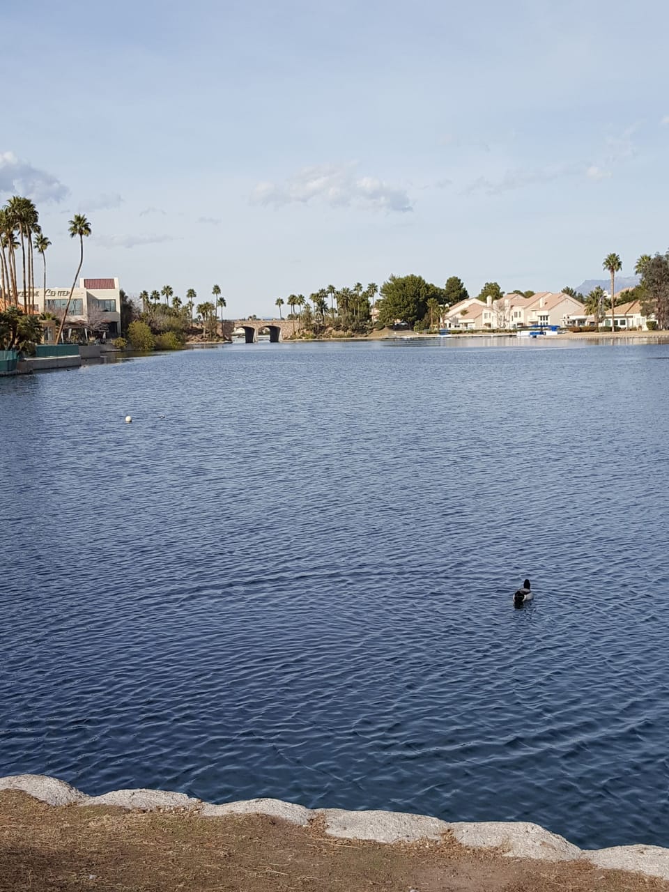 Desert Shores lakes within  easy walking distance 