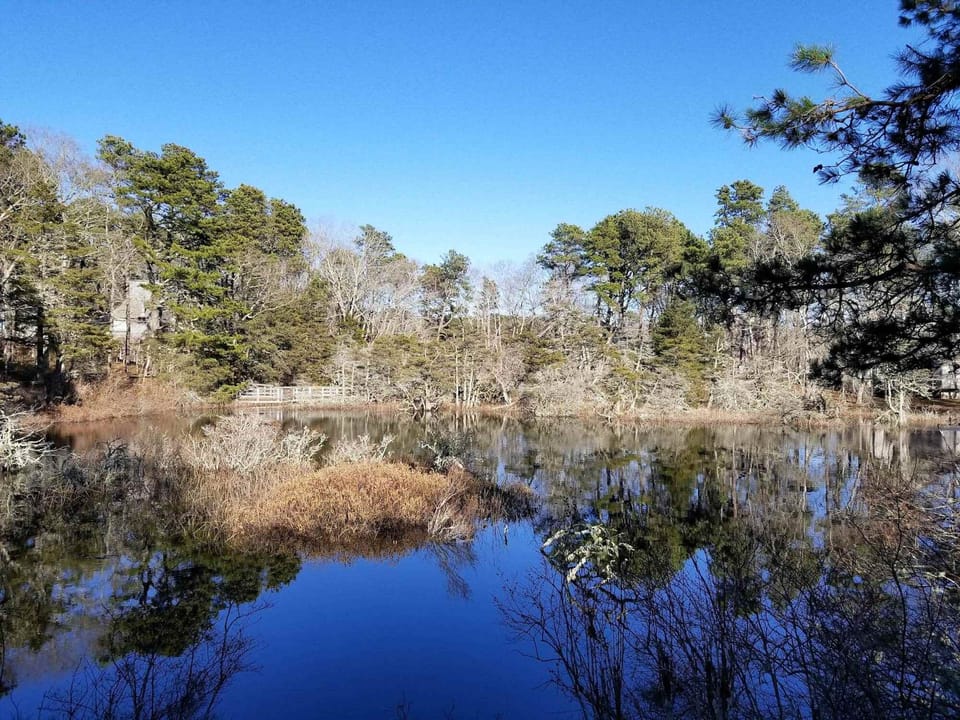 Enjoy lovely views of the pond