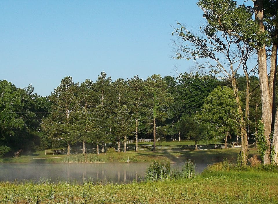 View of the pavilions from across the pond.