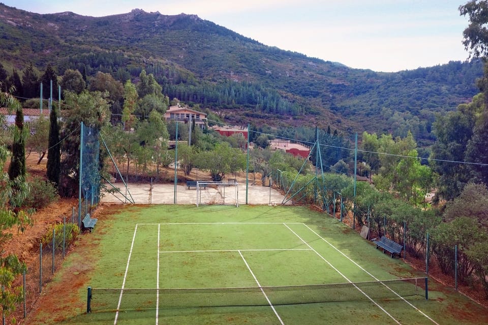 Sport court