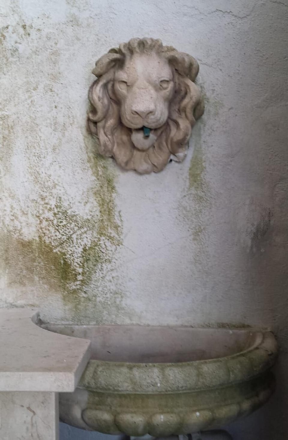 entrance from the street