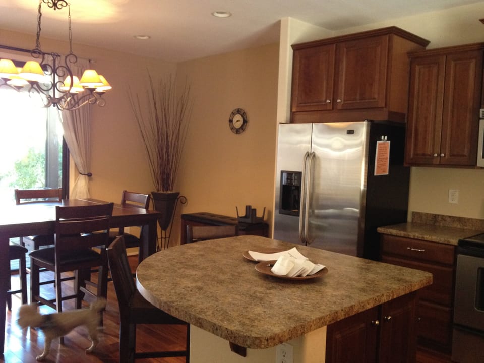 Kitchen and Patio