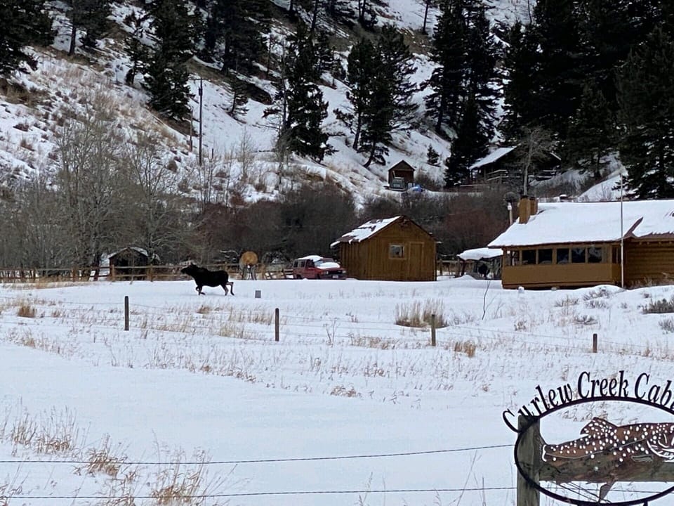 September 2020 - bring your camera, wildlife is everywhere!