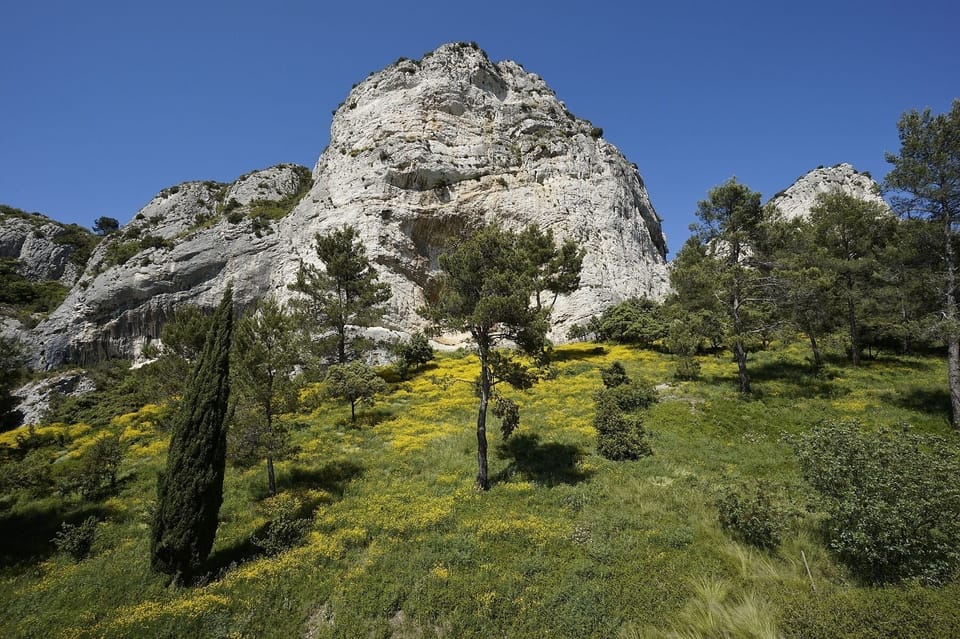 a beautiful setting...