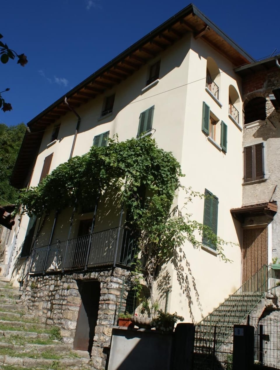 Picture 11