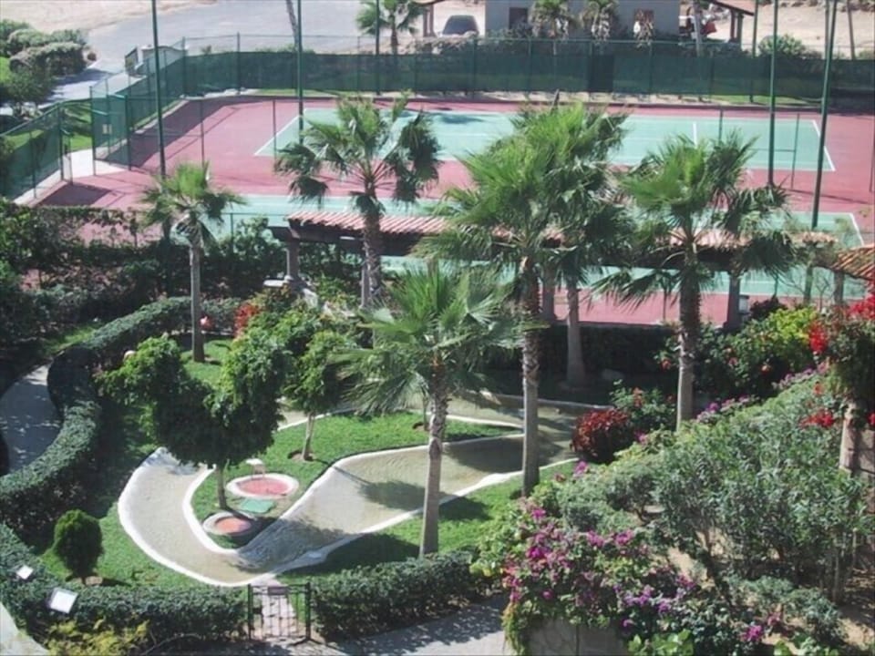 Sport court