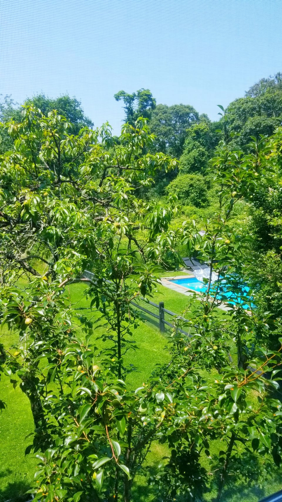 Peaceful views of back yard and lovely nature sounds.