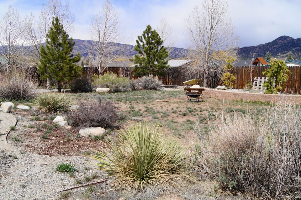 Spacious, private, landscaped back yard.