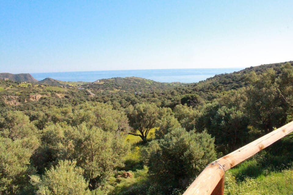 Sea view