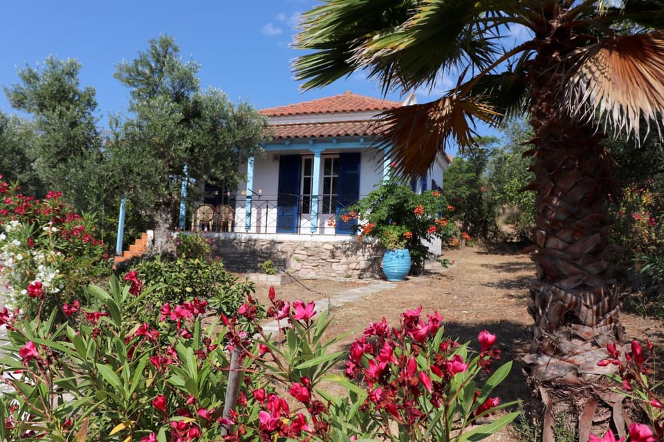 Main view