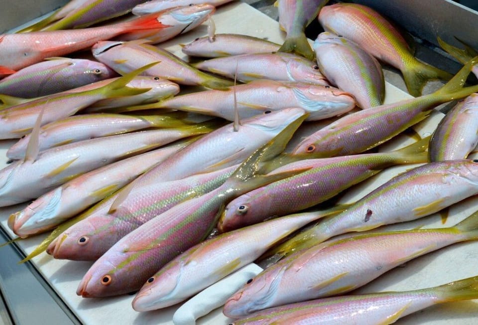 Last weekend's catch!