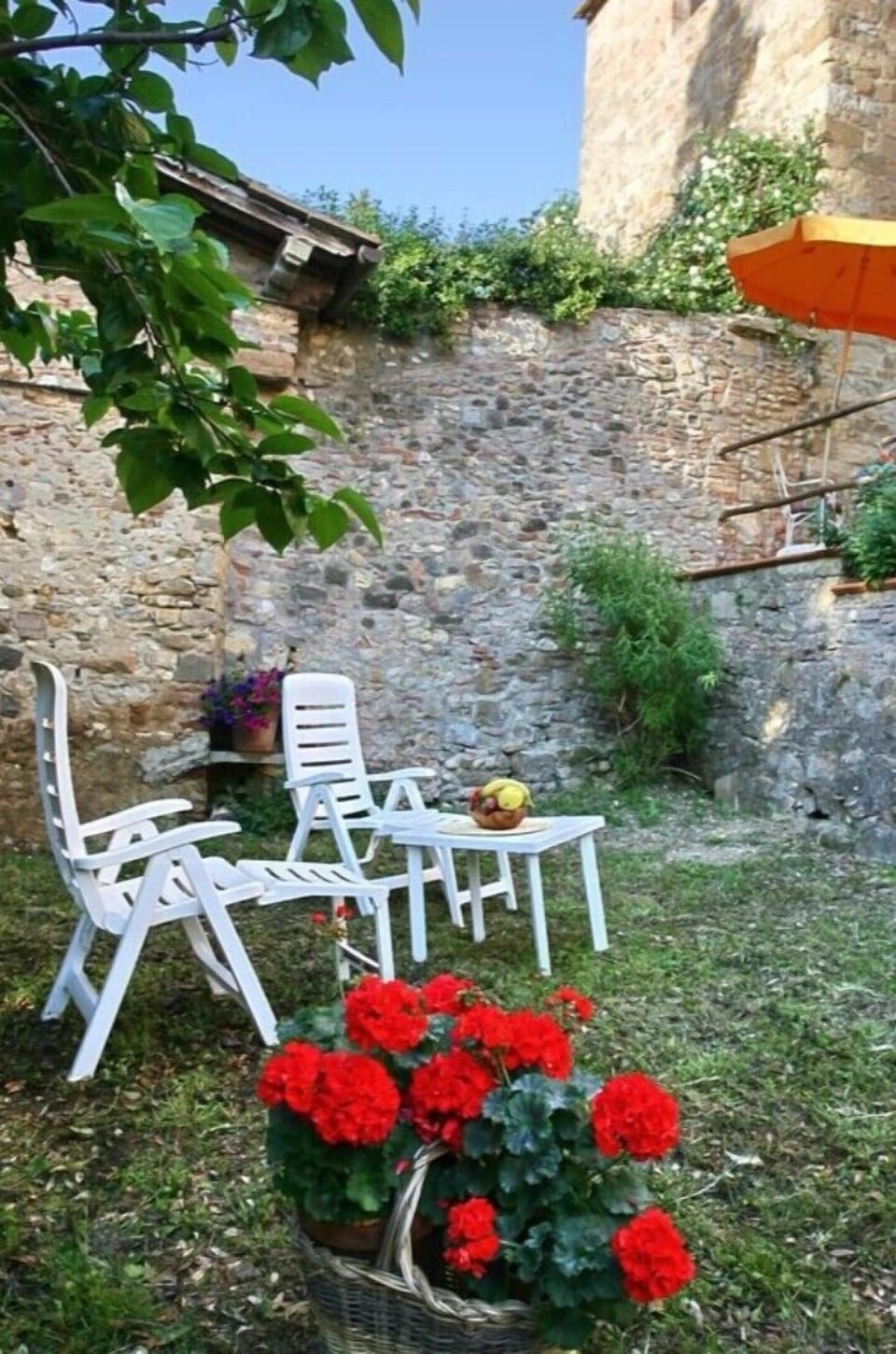 garden