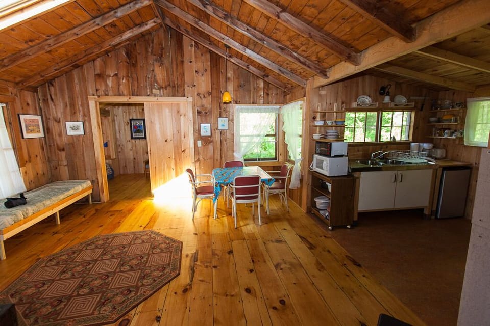 Tree House kitchen and dining room