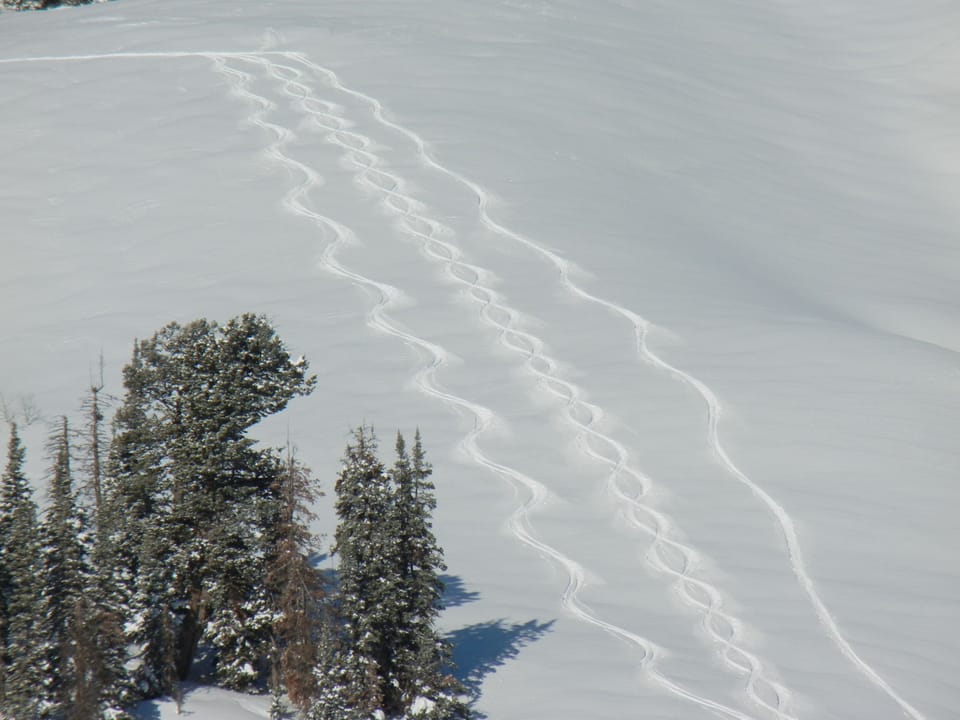 A private run that drops you into the resort is just 4 min walk from the cabin