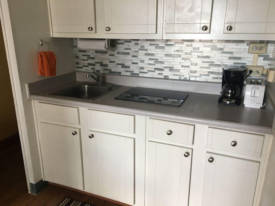 Upgraded kitchen with induction cooktop