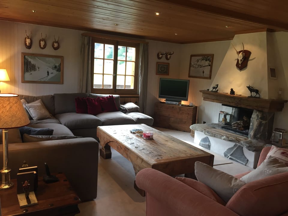 TV with free sky, sofa area of living space