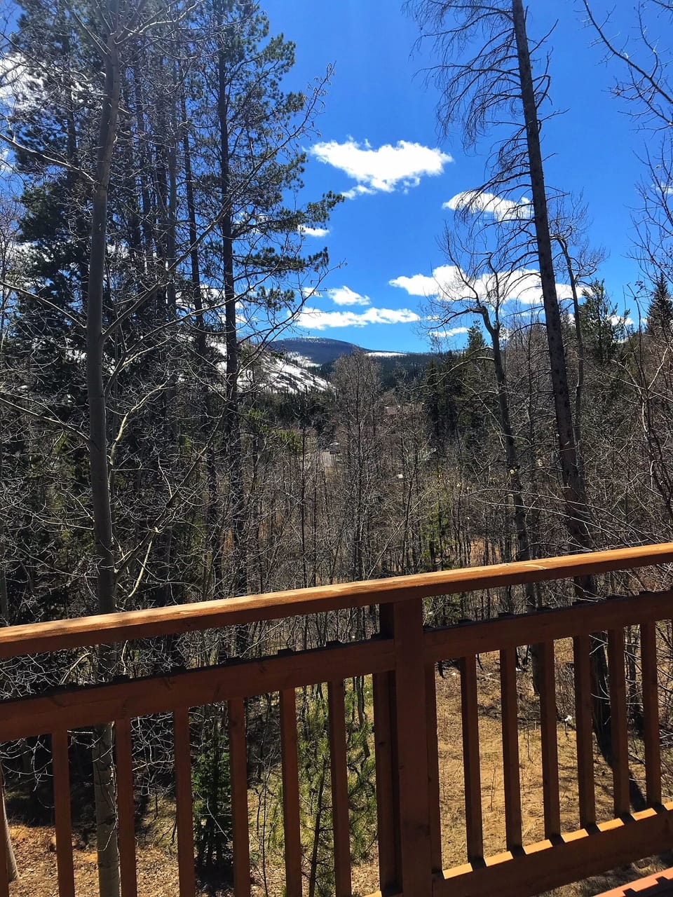 Winter View from Deck