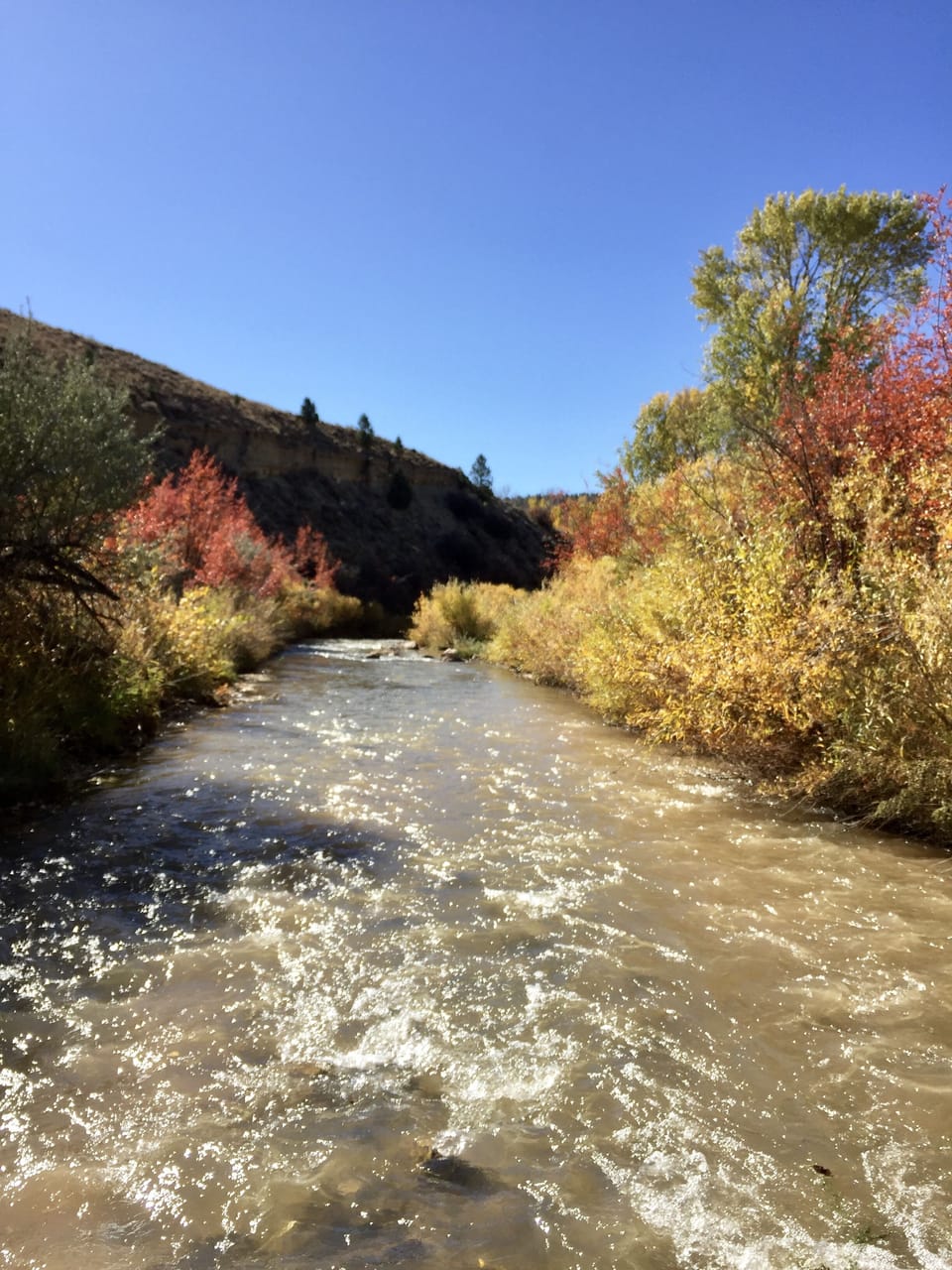 River behind the Cabin that runs through the property