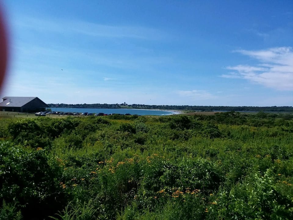 Sachuesst Point bird sancturary, Middletown, RI.