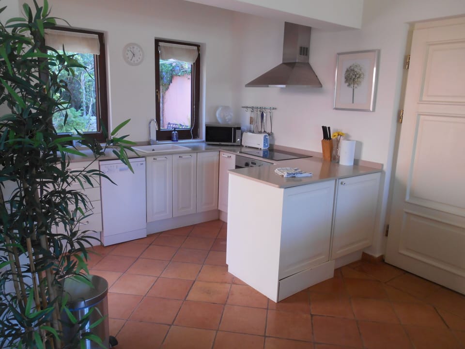 The well equipped kitchen