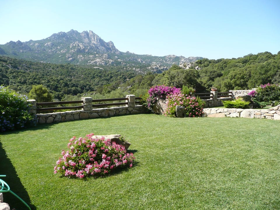 Garden.