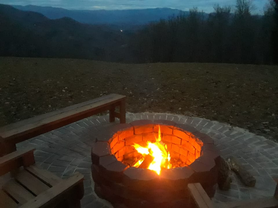Fire pit, wood provided