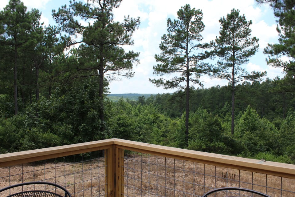 View from back deck