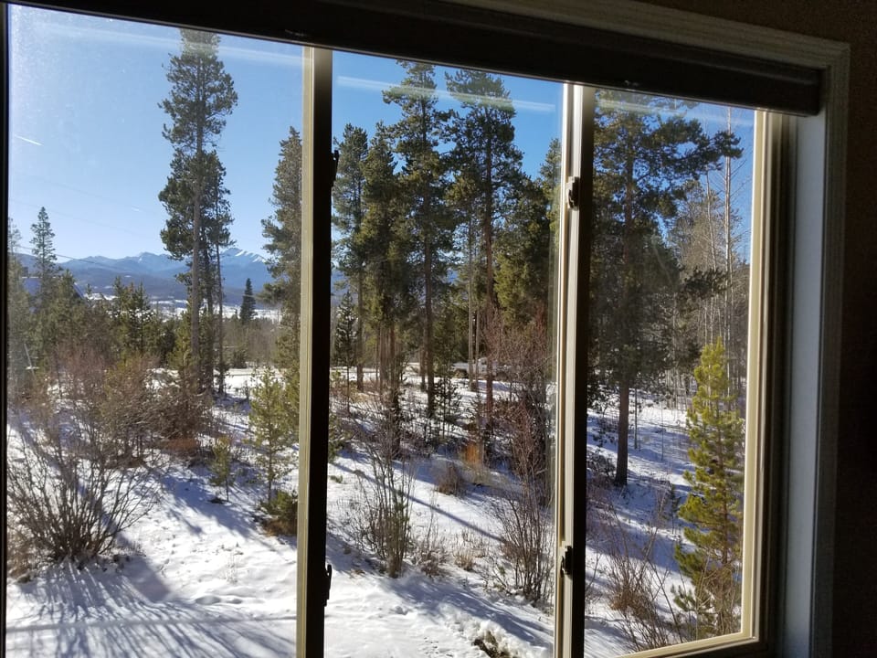 View from living room