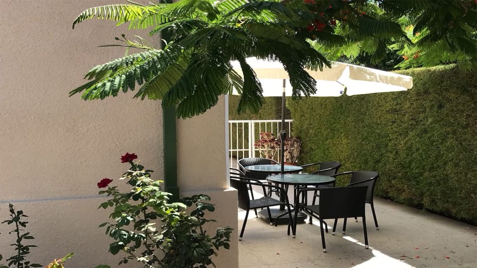 Olive apt garden