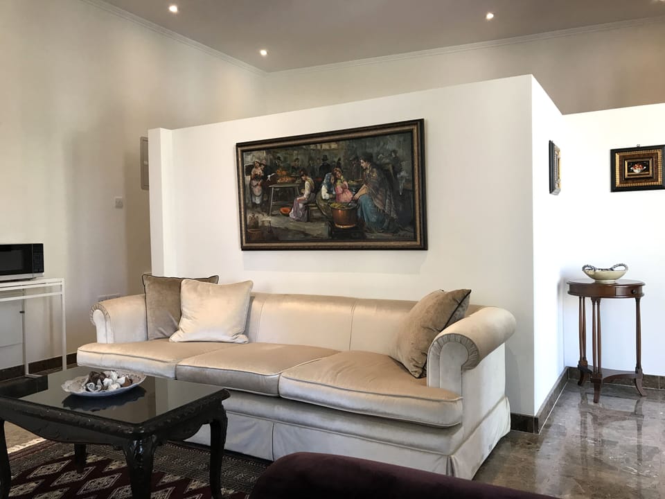 Lemon apt living room different angle
