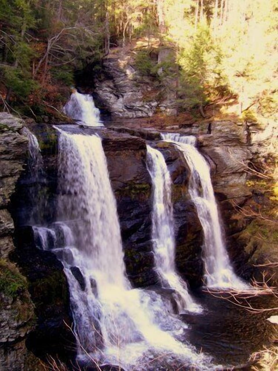 Pinchot Falls, 60' tall, a short walk from the house. 