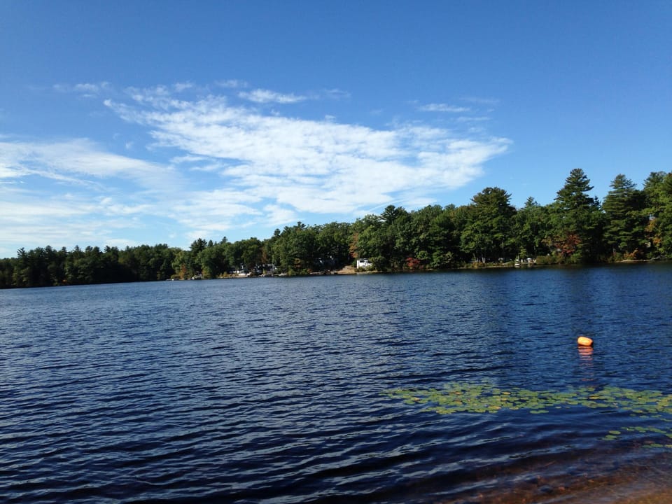 view of lake