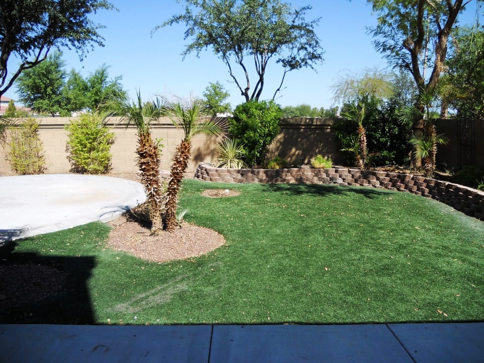 Backyard Area