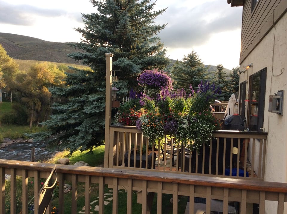 Summer view from our deck.