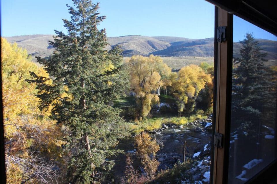 View from the living room