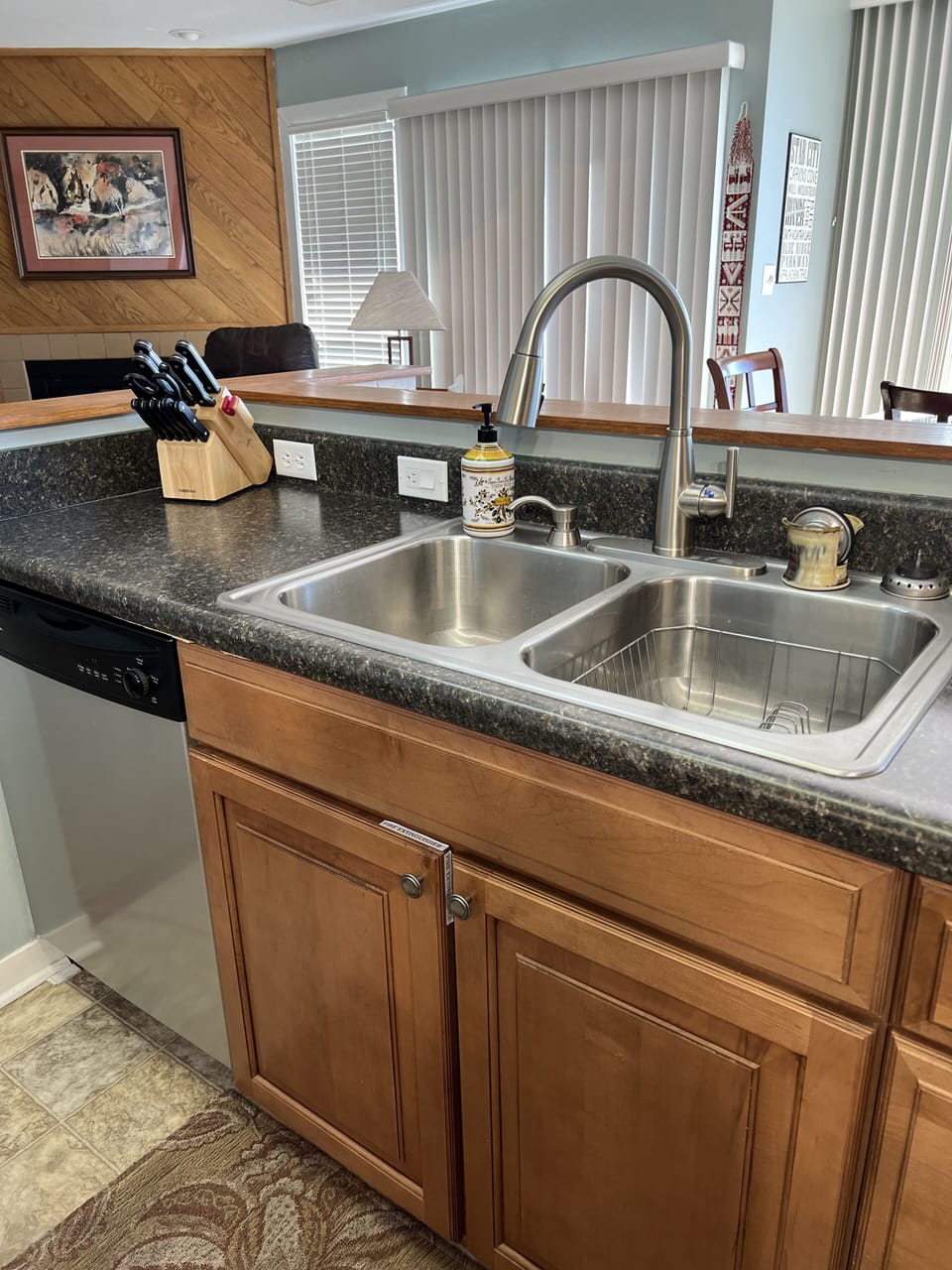 New kitchen faucet & garbage disposal for 2021