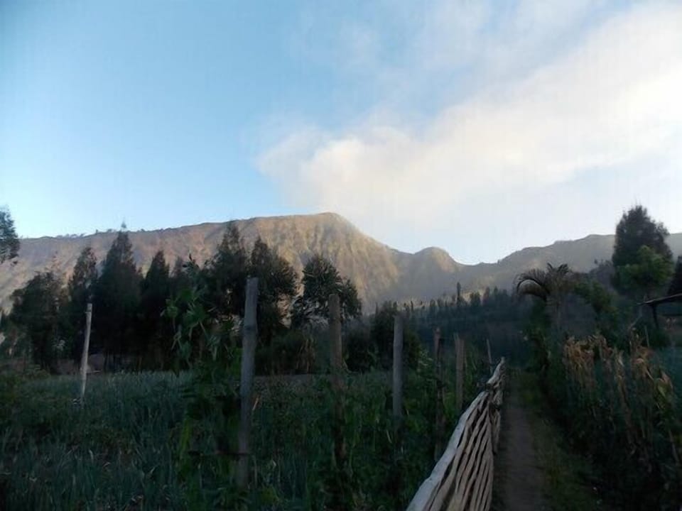 Penginapan / Homestay Balqis Near Bromo