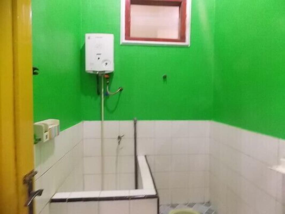 Penginapan / Homestay Balqis Near Bromo