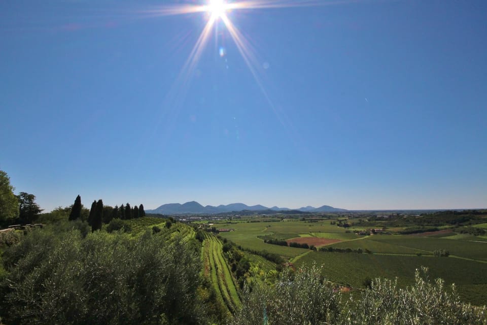 Panorama of the Euganei hills from the bishop's garden 