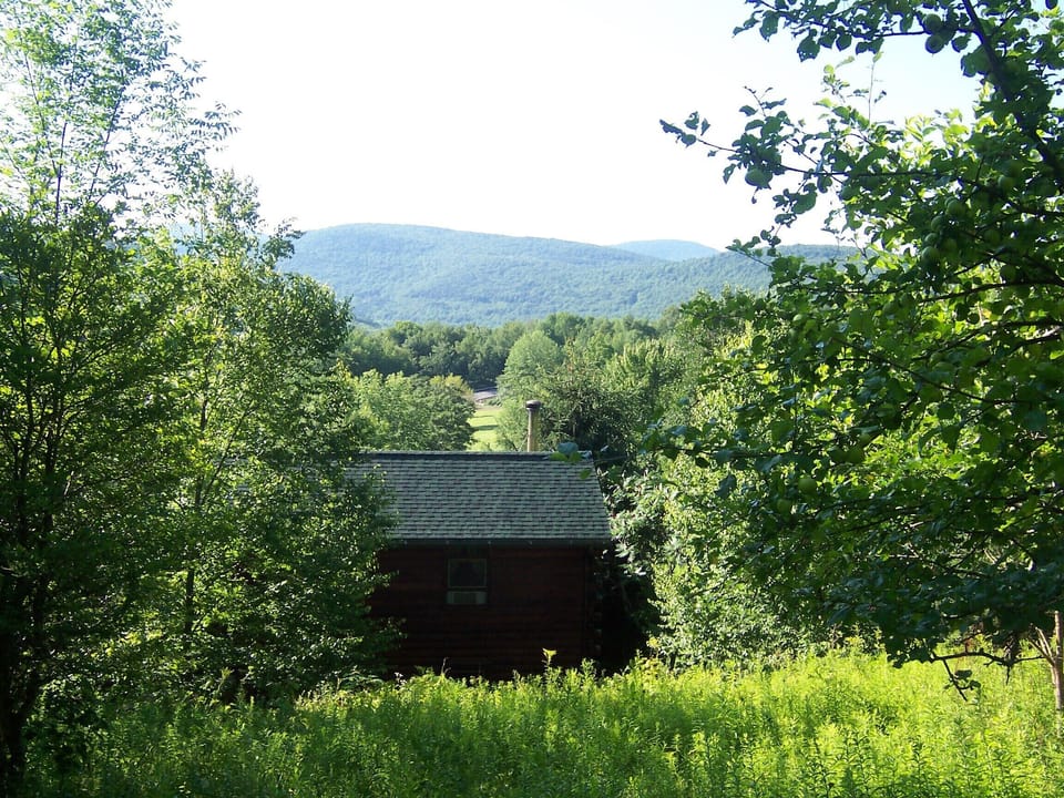 south from behind cabin my field in the distance