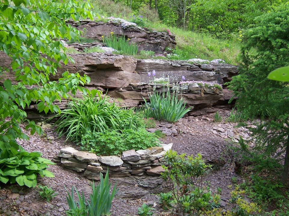 rock garden rising behind cabin in progress