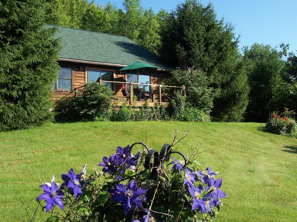cabin from front yard