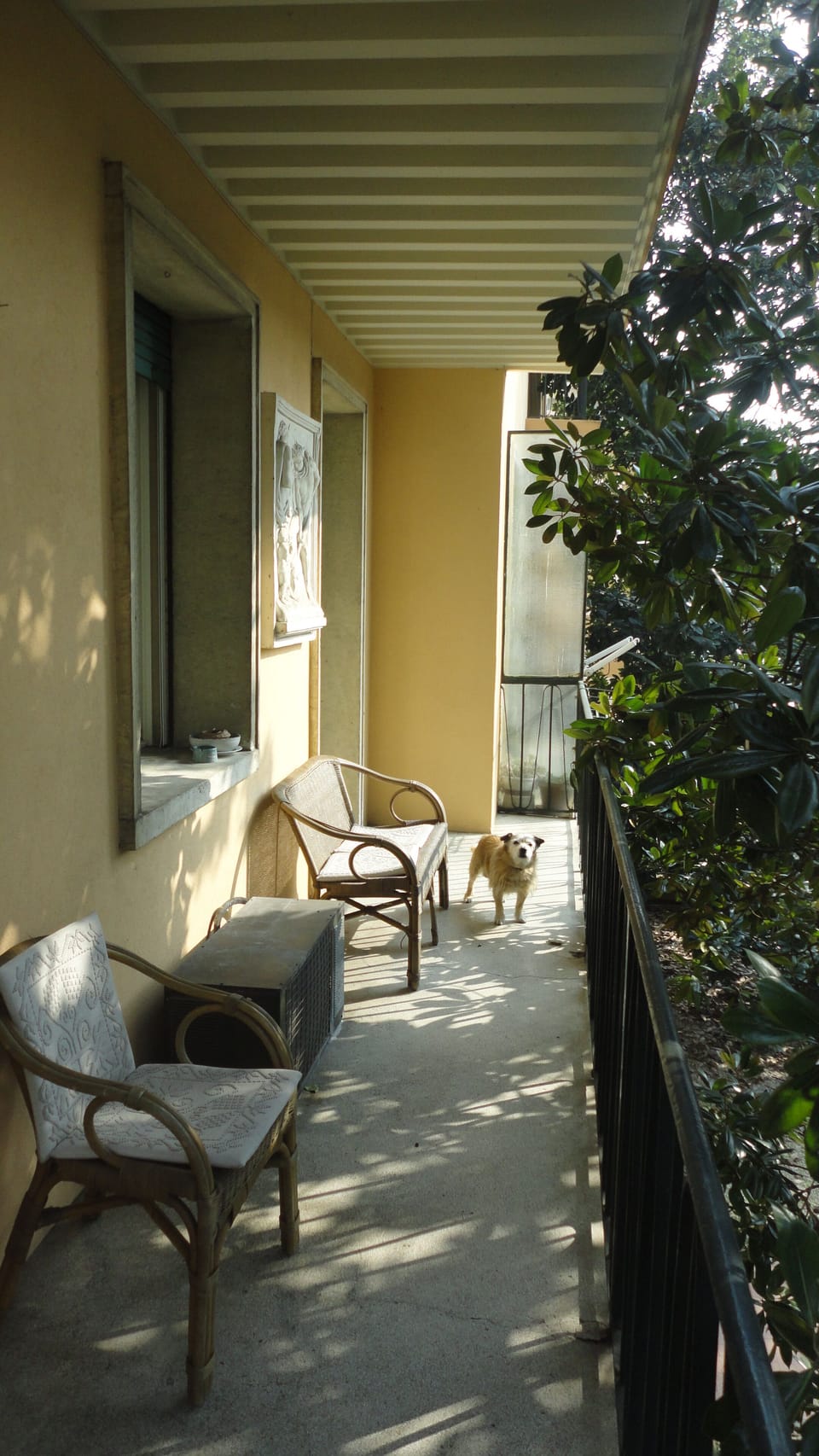 Porch 
