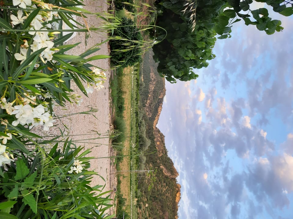 Another stunning view from the garden