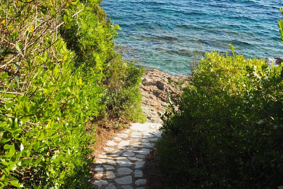 Footpath to the sea.