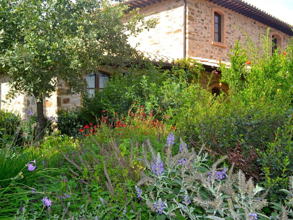 Garden, Vegetation, Flower, Plant, Property, Grass, Yard, House, Grass Family, Botany