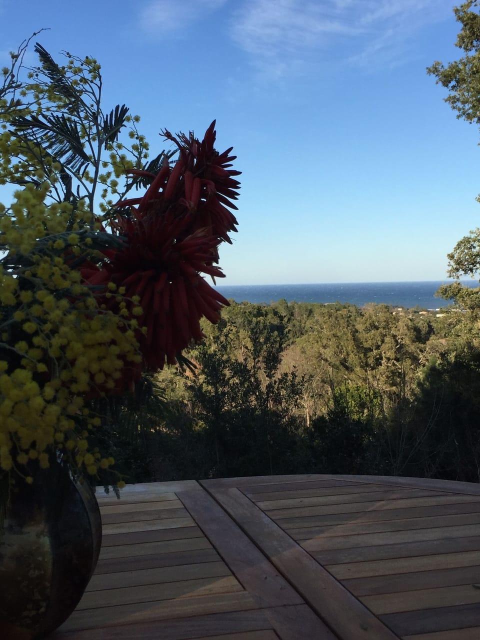 View from property